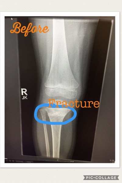 44491BF0-5205-4383-9529-97453CC0C383